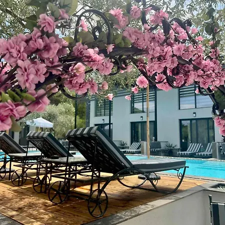 Lofts Thassos